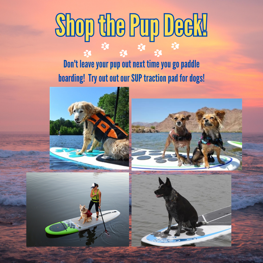 Paddlers best Friend SUP with Your Dog Starter Kit