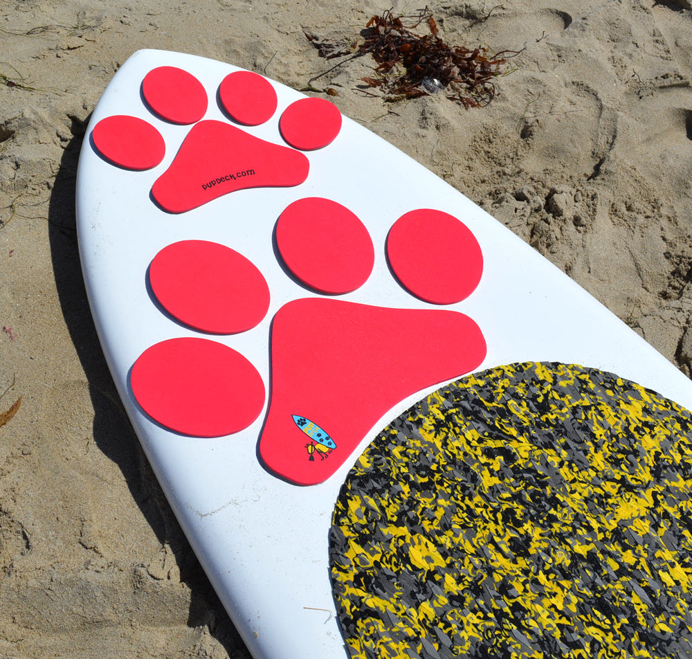Paddlers best Friend SUP with Your Dog Starter Kit