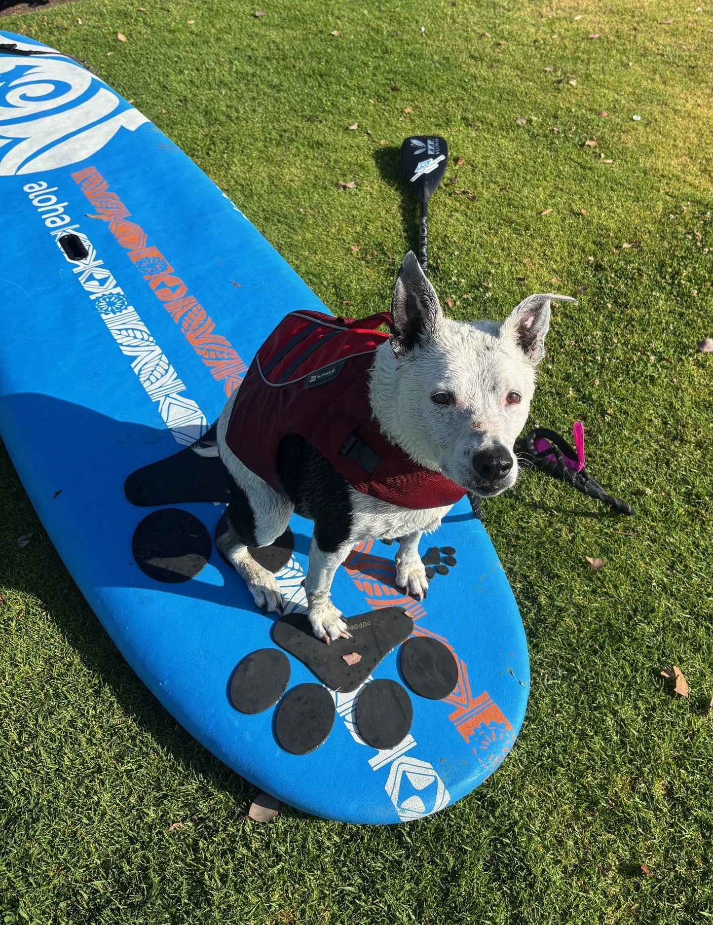 The Pup Deck - Deck Pad for Dogs - Paw Prints (Slate)