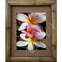 "Plumeria Sandwich" Bamboo Framed Art Print