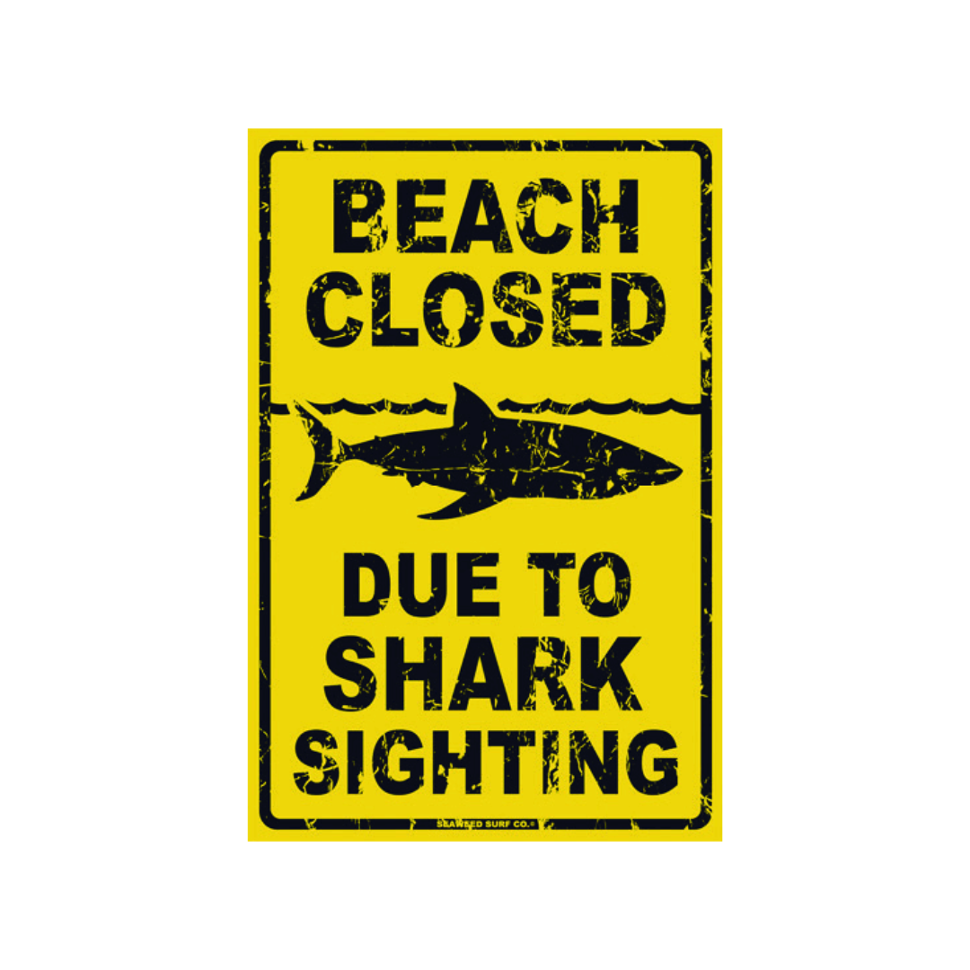 Beach Closed Due to Shark Sighting Aluminum Metal Poster Sign 12x18