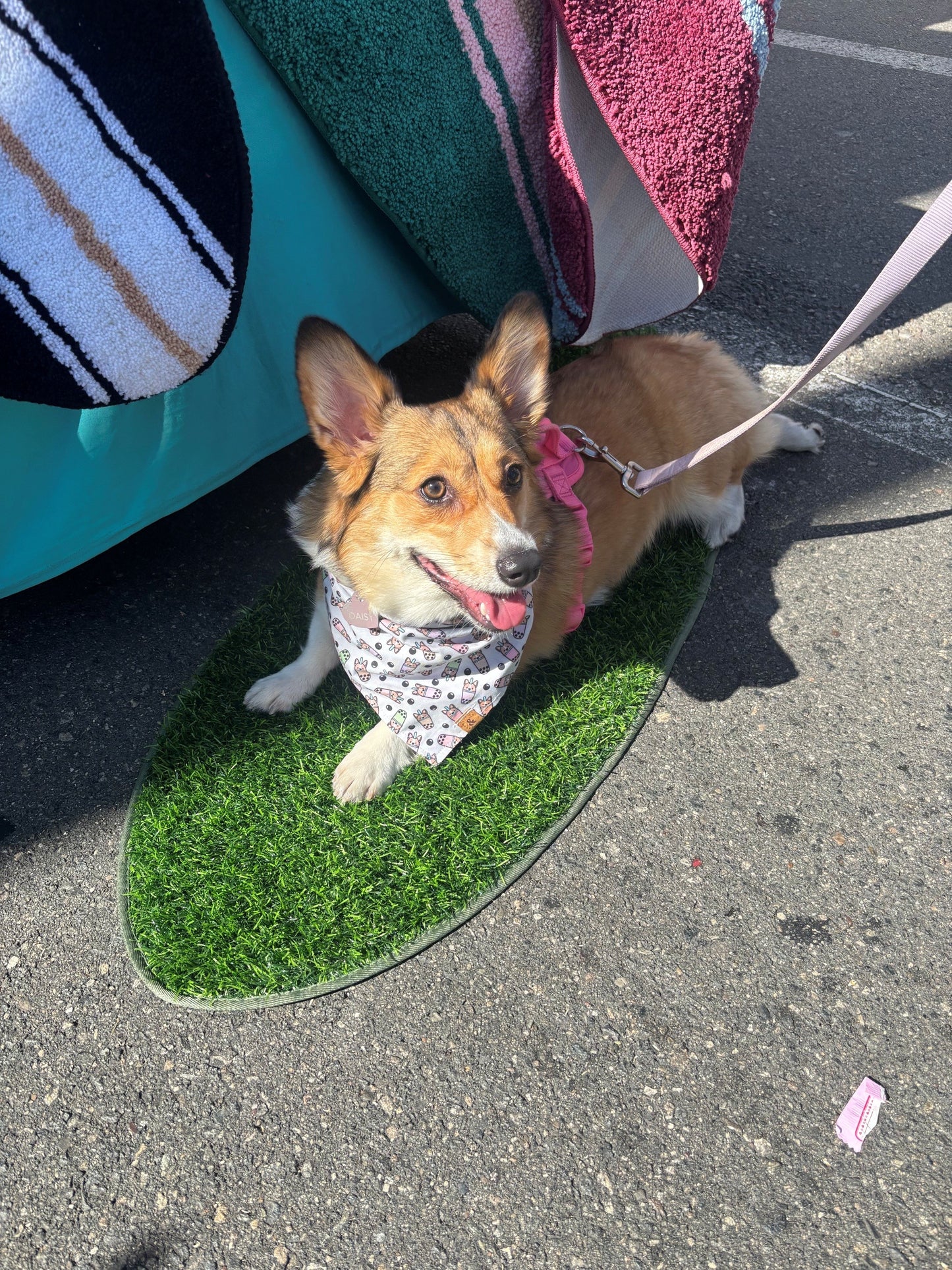 Pup Surfboard shaped Turf Pad