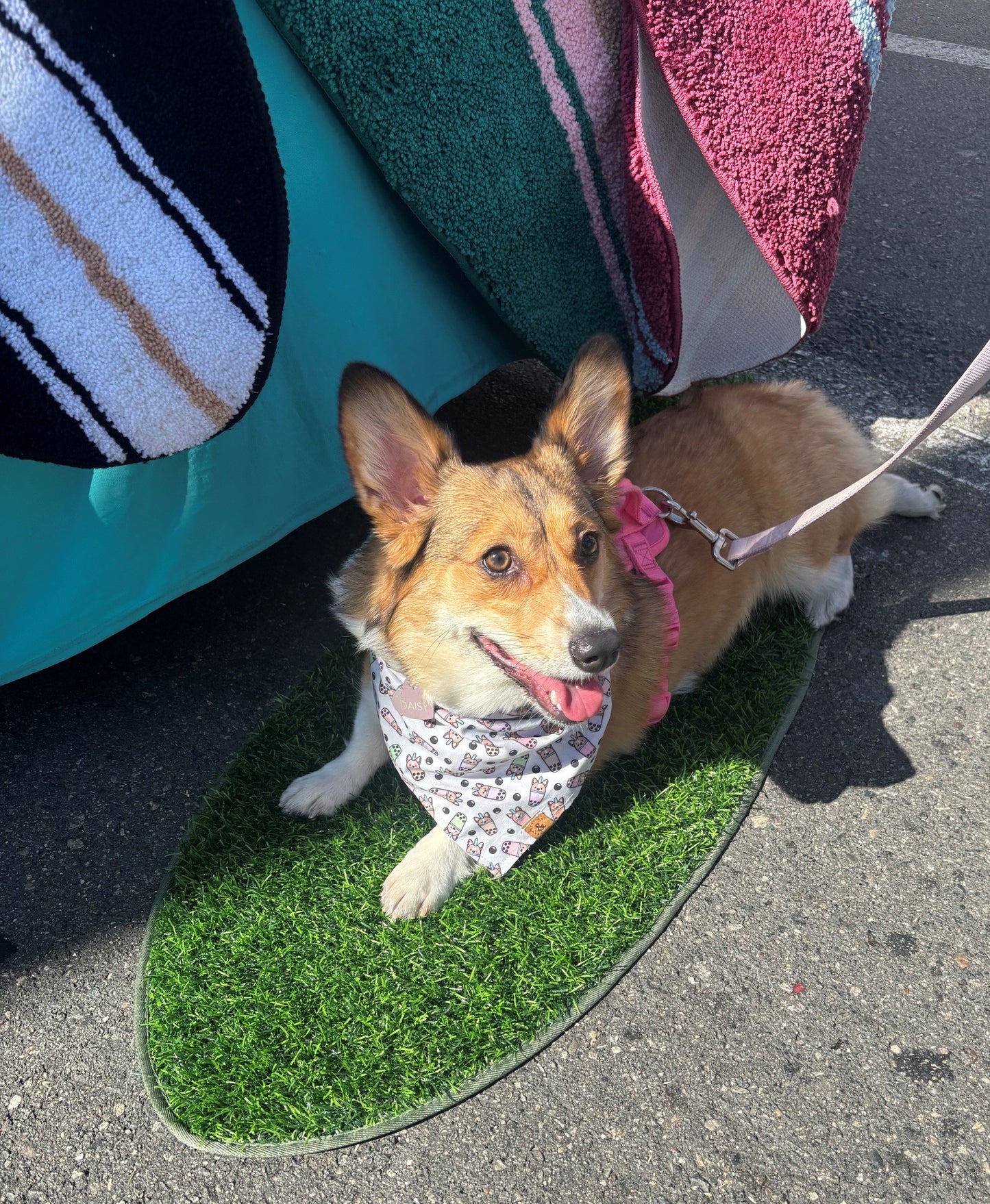 Pup Surfboard shaped Turf Pad