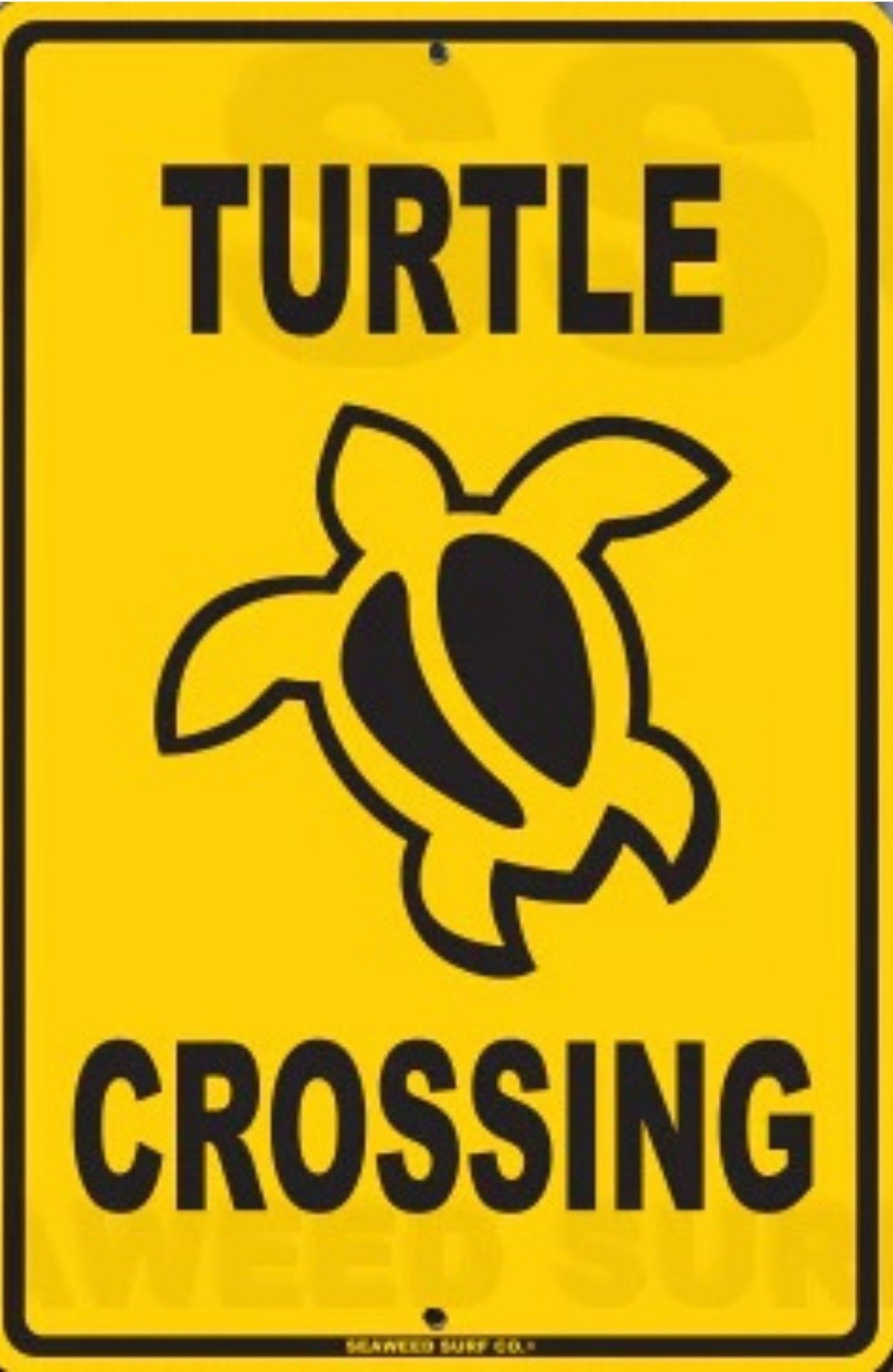 Turtle Crossing Aluminum Metal Poster Sign 12x18