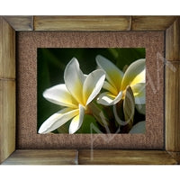 "Two Plumerias" Floral Photograph Bamboo Framed Art Print