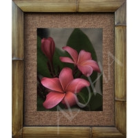 "Vintage Pink" Plumeria Floral Photograph Bamboo Framed Art Print
