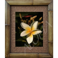 "Big Daddy" Plumeria Floral Photograph Bamboo Framed Art Print