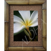 "Close Up" Plumeria Floral Photograph Bamboo Framed Art Print