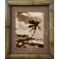 "Lonely Palm" Antique Vintage Hawaiian Island 1900s Sepia Photograph Bamboo Framed Art Print